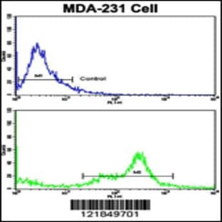 anti-Complement Component 6 (N-Term), (AA 30-58) antibody avatar