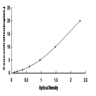 Protein Kinase C, zeta (PRKCZ) ELISA Kit avatar