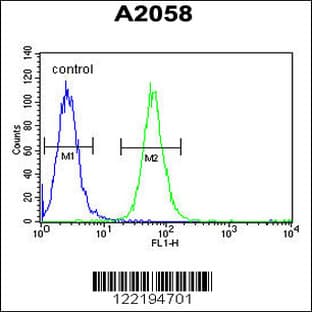 anti-ABHEB (C-Term), (AA 150-179) antibody avatar