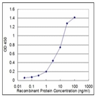 anti-ACTA2 / Aortic Smooth Muscle Actin (AA 1-378) antibody