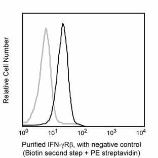 anti-IFN-gamma Receptor (Chain beta) antibody