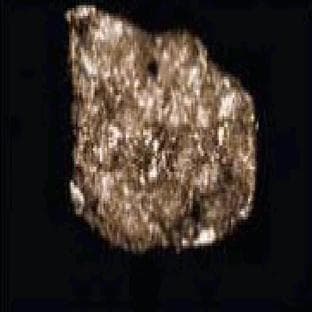 anti-Actin Related Protein 2/3 Complex, Subunit 3, 21kDa (ARPC3) (AA 10-118) antibody avatar