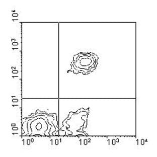 anti-CD5 Molecule (CD5) antibody (Biotin) avatar