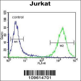 anti-Coactivator-Associated Arginine Methyltransferase 1 (CARM1) (AA 346-377), (Center) antibody avatar