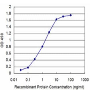 anti-BATF (AA 34-126) antibody avatar