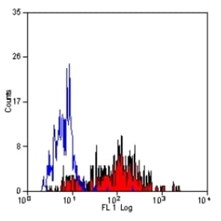 anti-CD226 Molecule (CD226) antibody avatar