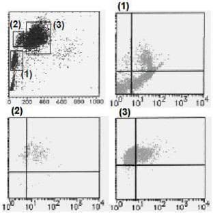 anti-CD226 Molecule (CD226) antibody (FITC) avatar