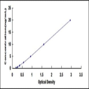 Activating Signal Cointegrator 1 Complex Subunit 3 (ASCC3) ELISA Kit avatar