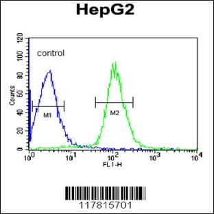 anti-Coiled-Coil Domain Containing 85B (CCDC85B) (AA 69-96), (Center) antibody avatar