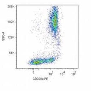 anti-CD300a Molecule (CD300A) antibody (PE)