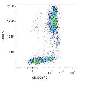 anti-CD300a Molecule (CD300A) antibody