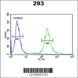anti-Adenylate Cyclase Activating Polypeptide 1 (Pituitary) (ADCYAP1) (C-Term), (AA 148-176) antibody avatar