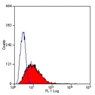 anti-Basigin (Ok Blood Group) (BSG) antibody (FITC) avatar