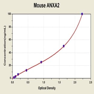 Annexin A2 (ANXA2) ELISA Kit avatar