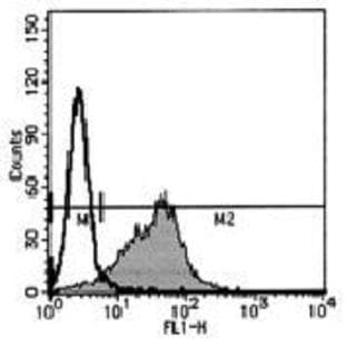 anti-Chemokine (C-C Motif) Receptor 3 (CCR3) antibody avatar