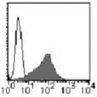 anti-Chemokine (C-C Motif) Receptor 3 (CCR3) antibody (PE) avatar