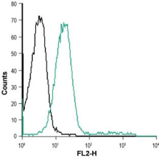 anti-Chemokine (C-C Motif) Receptor 7 (CCR7) (N-Term), (AA 26-40), (Extracellular Loop) antibody avatar