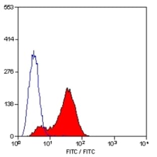 anti-CD19 Molecule (CD19) antibody (FITC) avatar