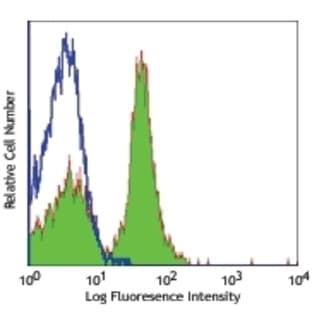 anti-CD19 Molecule (CD19) antibody avatar