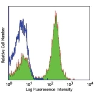 anti-CD19 Molecule (CD19) antibody avatar
