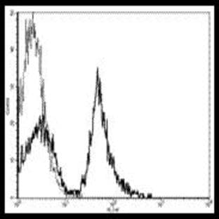 anti-CD19 Molecule (CD19) antibody (FITC) avatar