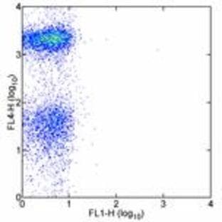 anti-CD19 Molecule (CD19) antibody (FITC) avatar