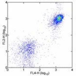 anti-CD19 Molecule (CD19) antibody (PE) avatar