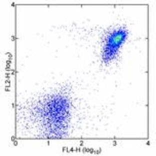 anti-CD19 Molecule (CD19) antibody (Biotin) avatar