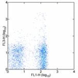 anti-CD19 Molecule (CD19) antibody (PE,Cy5) avatar