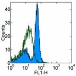 anti-CD19 Molecule (CD19) antibody avatar