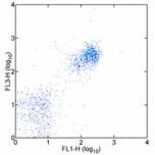 anti-CD19 Molecule (CD19) antibody (PE,Cy7) avatar