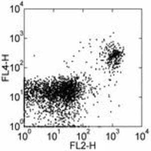 anti-CD19 Molecule (CD19) antibody (Alexa Fluor 647) avatar