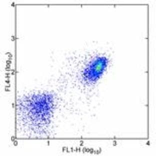 anti-CD19 Molecule (CD19) antibody (Alexa Fluor 700) avatar