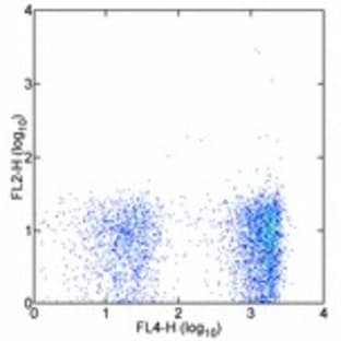 anti-CD19 Molecule (CD19) antibody (PE) avatar
