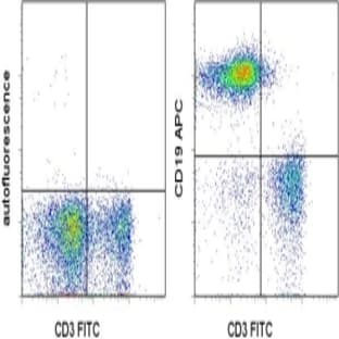 anti-CD19 Molecule (CD19) antibody (APC)