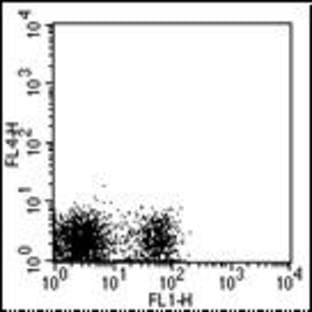 anti-CD19 Molecule (CD19) antibody (APC)