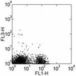 anti-CD19 Molecule (CD19) antibody (Cy5,PE) avatar