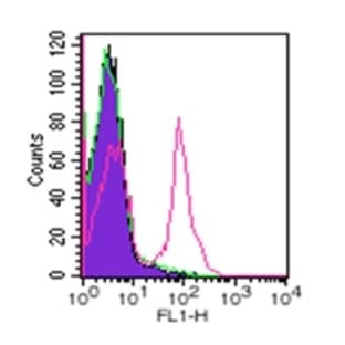 anti-CD19 Molecule (CD19) antibody (FITC) avatar
