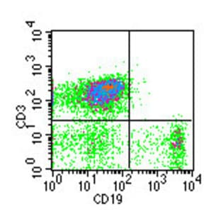 anti-CD19 Molecule (CD19) antibody avatar