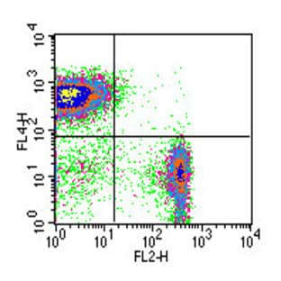 anti-CD19 Molecule (CD19) antibody (PE) avatar