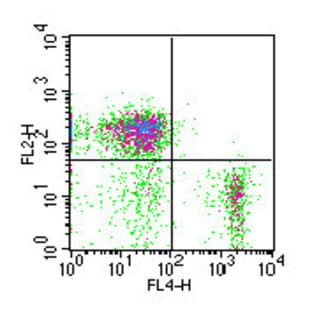 anti-CD19 Molecule (CD19) antibody (APC)