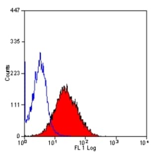 anti-CD2 Molecule (CD2) antibody (FITC) avatar