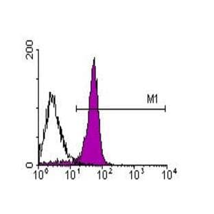 anti-CD2 Molecule (CD2) antibody (Biotin) avatar