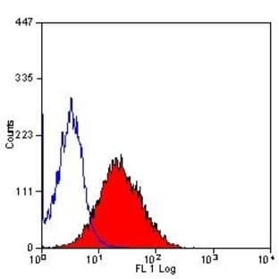 anti-CD2 Molecule (CD2) antibody (FITC) avatar