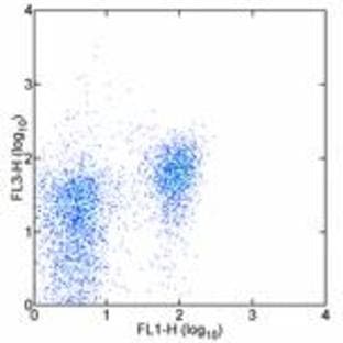 anti-CD28 (CD28) antibody (PE,Cy7) avatar