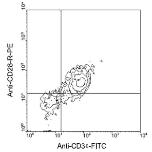 anti-CD28 (CD28) antibody (PE) avatar