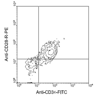 anti-CD28 (CD28) antibody (PE) avatar