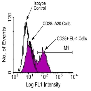 anti-CD28 (CD28) antibody (FITC) avatar