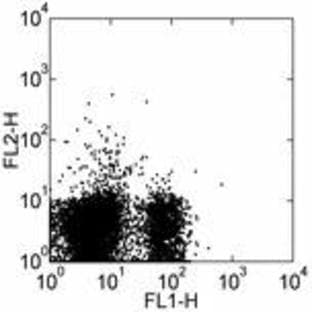 anti-CD28 (CD28) antibody (PE) avatar