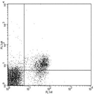 anti-CD28 (CD28) antibody (Cy5,PE) avatar
